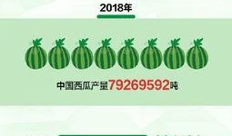 吃瓜群众在七零 吃瓜网站能打开的网站免费,免费畅游的瓜界乐园