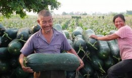 吃瓜爆料大赛每日聚集地,热点事件背后的秘密揭晓